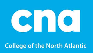 College of the North Atlantic Engineering Technology